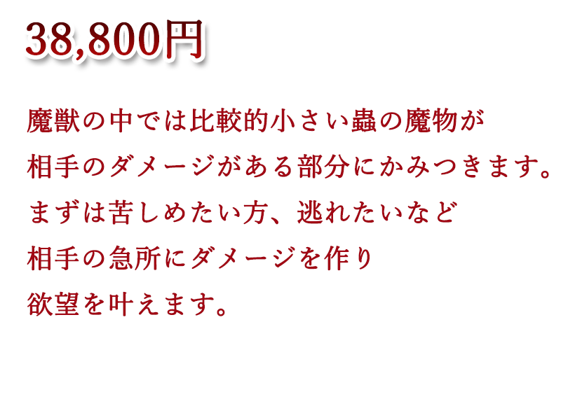 魔虫の雄たけび魔術コース